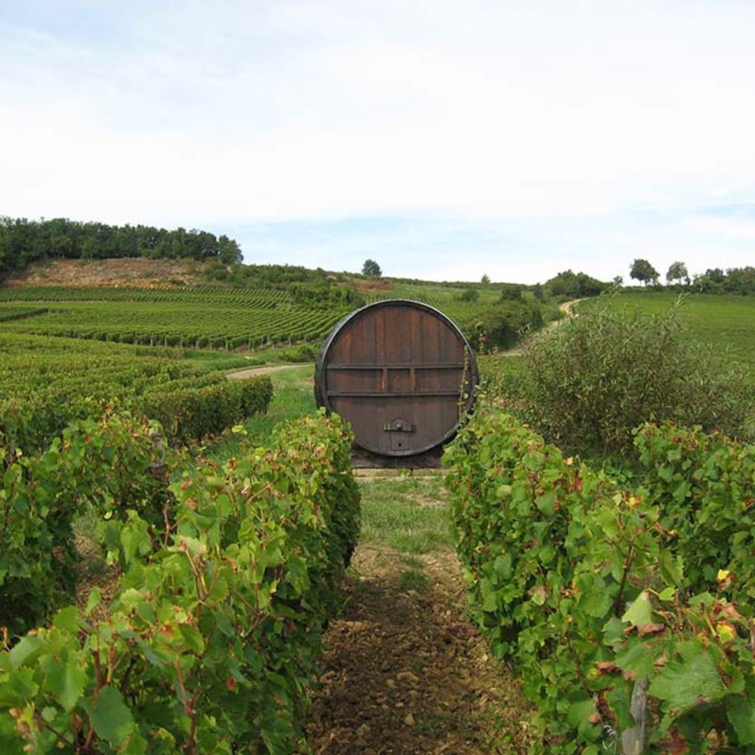 Domaine Stéphane Aladame